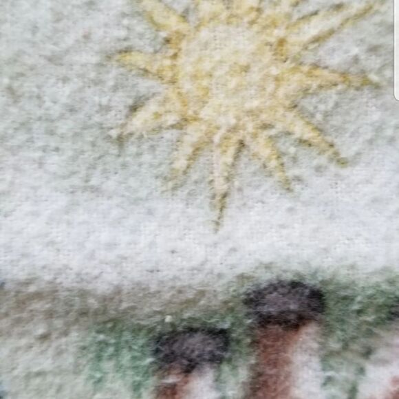 Western teddy bear fleece blanket mint green - Picture 4 of 5